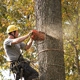 Jaime's Tree Service