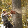 Jaime's Tree Service