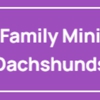 Family Mini Dachshunds gallery