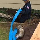 Power Pro Plumbing Trenchless Sewers & Drain Cleaning Experts