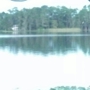 Orlando SE / Lake Whippoorwill KOA