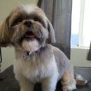 The Doodler Dog Grooming - Dog & Cat Grooming & Supplies