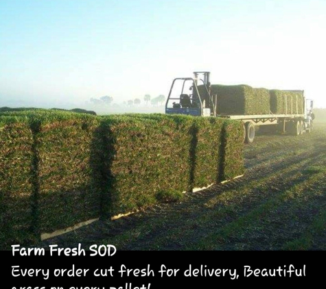 Farm Fresh Sod - Sarasota, FL