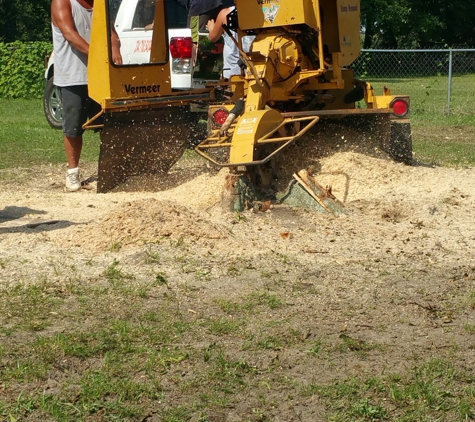 Johnson & Son Tree Service - Slocomb, AL