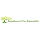 Rappahannock Tree Preservation