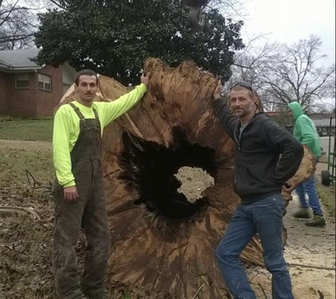 Eric Ecklund's Tree Service