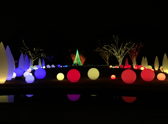 Atlanta Botanical Garden - Atlanta, GA. Lights in field 