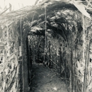 The Field of Fright Haunted Corn Maze - Theme Parks