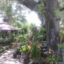 Mimo Garden Center - Garden Centers