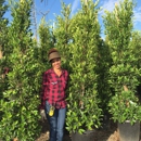 Garden View Nursery - Nursery-Wholesale & Growers