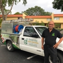 green day pest control - Pest Control Services