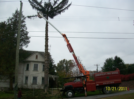 Zomerfeld's Tree Service Inc - Plymouth, PA