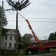 Zomerfeld's Tree Service Inc