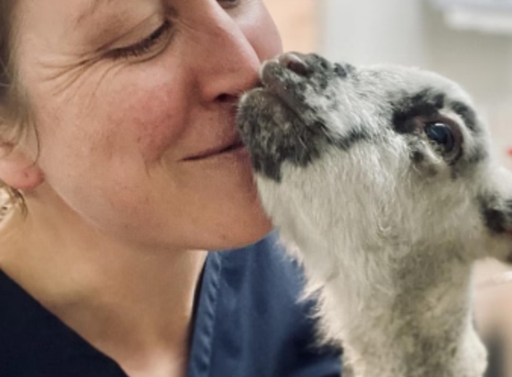 Barossa Veterinary Surgery - Nuriootpa, SA