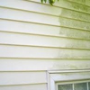 Diamond Mohawk Tree Service & Pressure Washing gallery