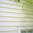 Diamond Mohawk Tree Service & Pressure Washing - Tree Service