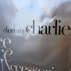 Charming Charlie gallery