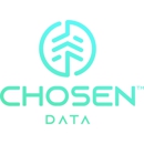 Chosen Data - Internet Consultants