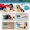 Houston Carpet Cleaning gallery