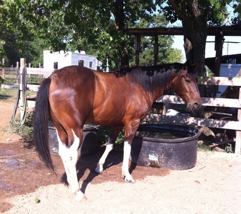 Rockin 4L Stables - Cypress, TX