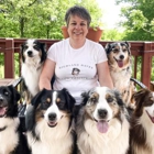 Highland Haven Dog Training