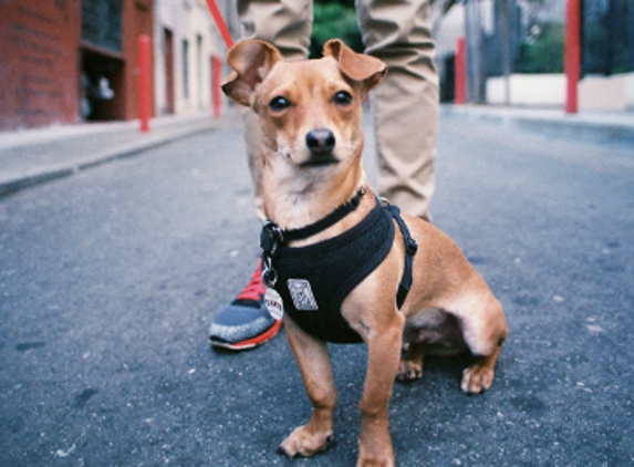 Bark and Walk - New York, NY