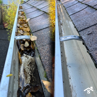 SAFE Roof Cleaning Moss Removal and Gutter Cleaning