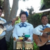 Mariachi-Trio Los Azulado gallery