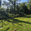 Tier One Tree Care gallery