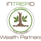 Intrepid Wealth Partners - Comprehensive Financial Planning Experts