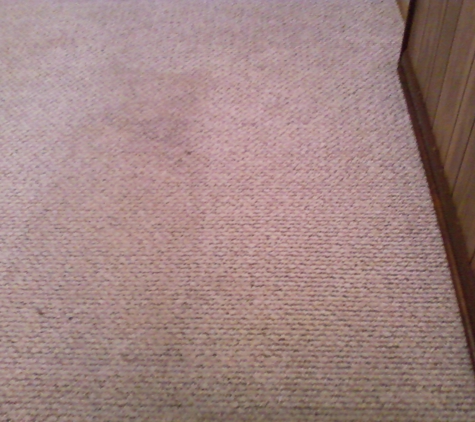 Bee Clean Carpets - Dover, DE