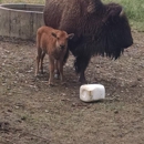 Boss Bison Ranch - Ranches