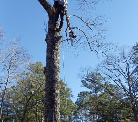 Eaddy's Tree Specialist - Lake City, SC