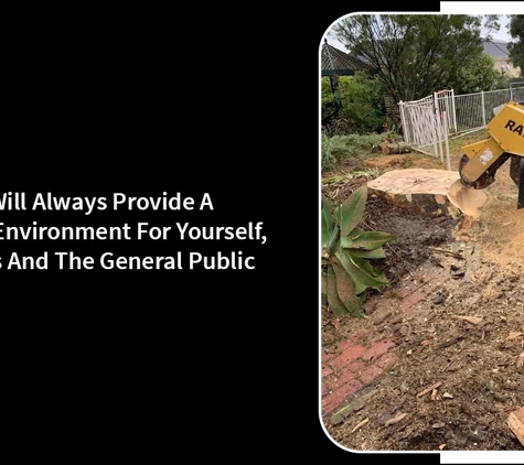 Harringtons Tree Services - Mount Evelyn, VIC. Our Team Will Always Provide A Safe Work Environment For Yourself, Neighbours And The General Public