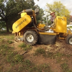 Stump & Root Removal