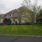 Prolawn Landscape Mgt.