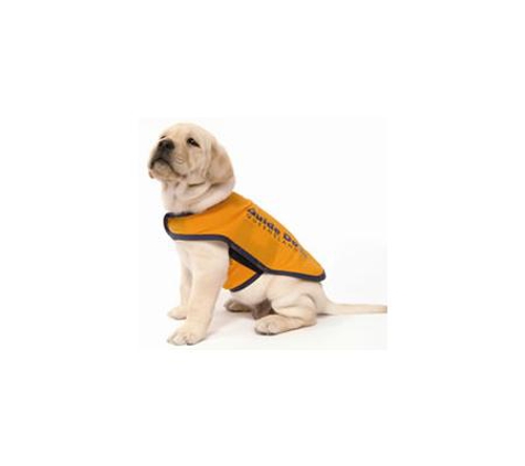 Pets Eternal Pet Memorial Services - Burleigh, QLD