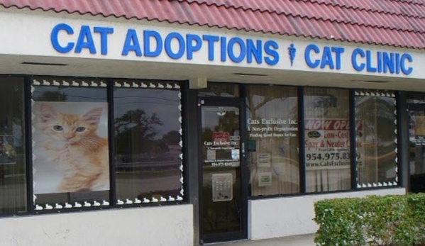 Cats Exclusive Inc - Margate, FL