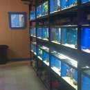 Noah's Ark Exotics - Pet Stores