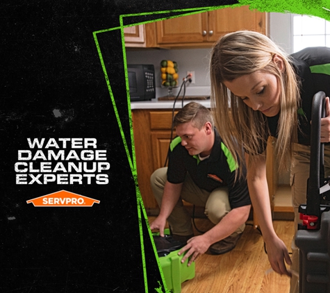 SERVPRO of Erie - Erie, PA