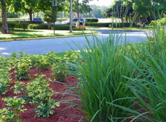 Commercial Lawn Care Service Inc - Clearwater, FL