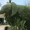 San Diego Zoo gallery