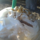 Starbucks Coffee