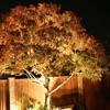 Outdoor Lighting Designs gallery