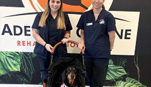 Pet Universe - Manningham, SA