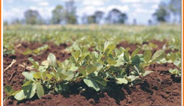 Peanut Company Of Australia Limited - Kingaroy, QLD