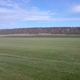 Lower Valley Turf