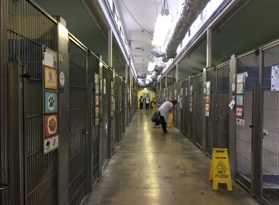 Burbank Animal Shelter - Burbank, CA