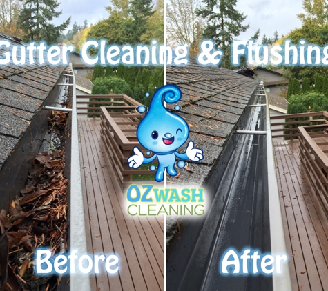 Oz Wash Cleaning - Lake Oswego, OR