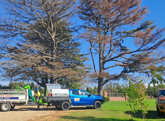 Phil's Tree Service - Cootamundra, NSW